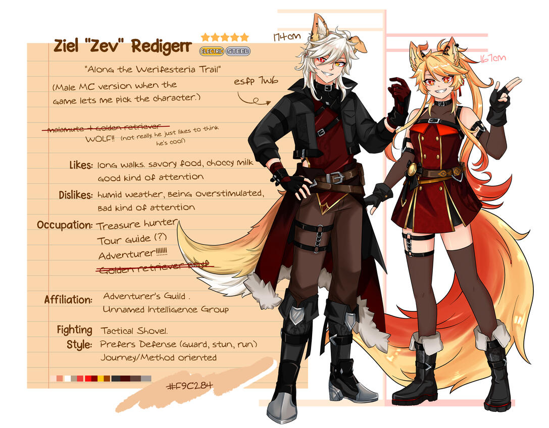 Ziel Redigerr
